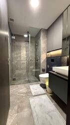 Irwell Hill Residences (D9), Apartment #557021691